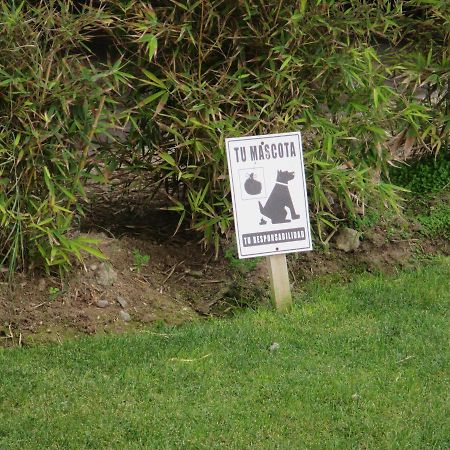 Departamento La Serena Кокимбо Экстерьер фото